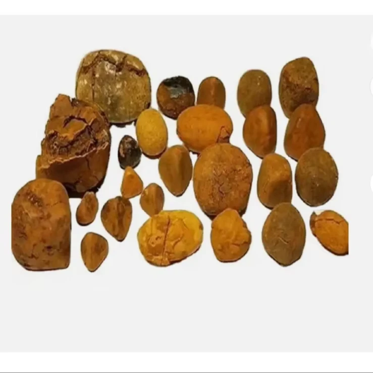 supergood Quality Ox Gallstones Cattle Gallstones Cow Gallstones Buy Cow Gall Stones for sale good price