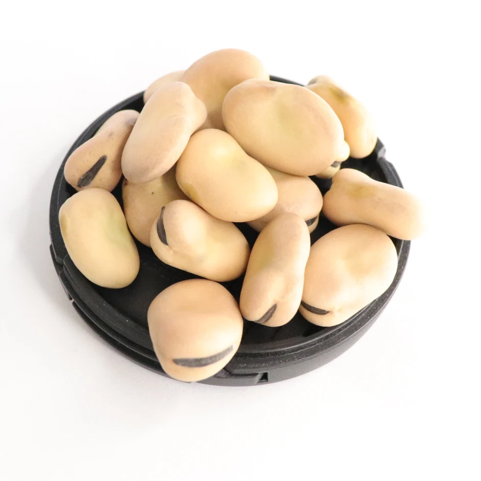 Premium quality White Kidney Beans for Human Consumption for sale