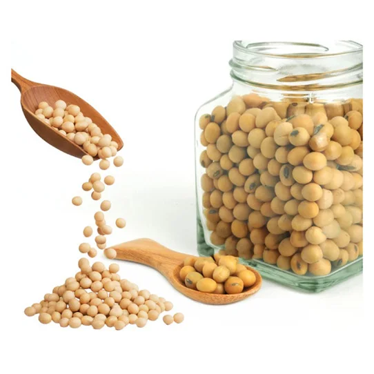 High Quality Organic Non GMO Soybean Largest Stock and Supply Worldwide Best Market Rates for Fresh and Dried Yellow Soybean