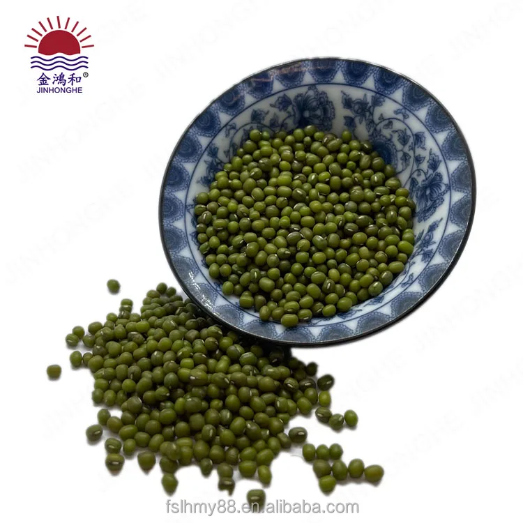 Hot green sprouted broad mung bean