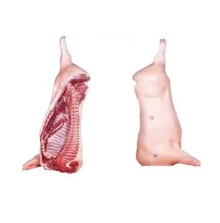 Wholesale Manufacturer and Supplier of Frozen Pork Whole Carcass Meat Best Quality Best Factory Price Bulk Buy Online