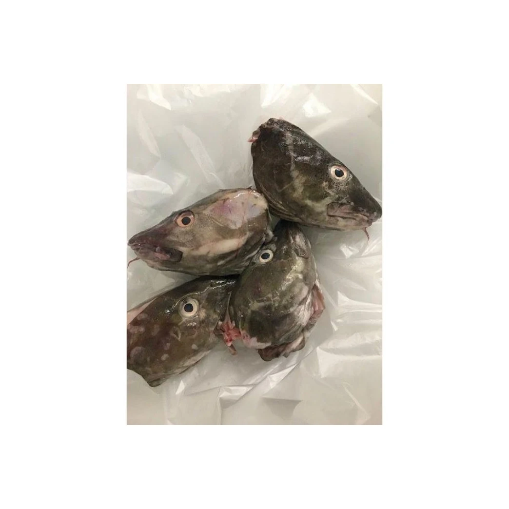 Wholesale High Quality Seafood Supplier Frozen Cod Heads For Sale