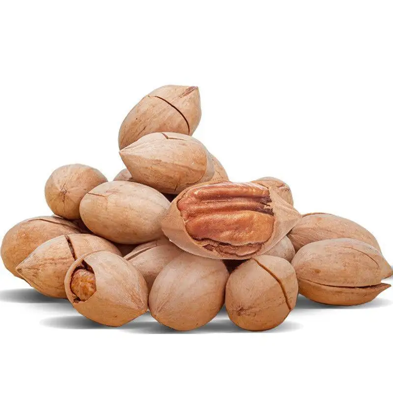 Agricultural Farm Price Pecan Nuts South Africa Raw Pecan Nut Roasted Pecan Nuts Price