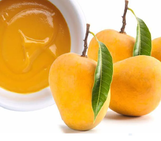 Fresh Mango Puree From Vietnam