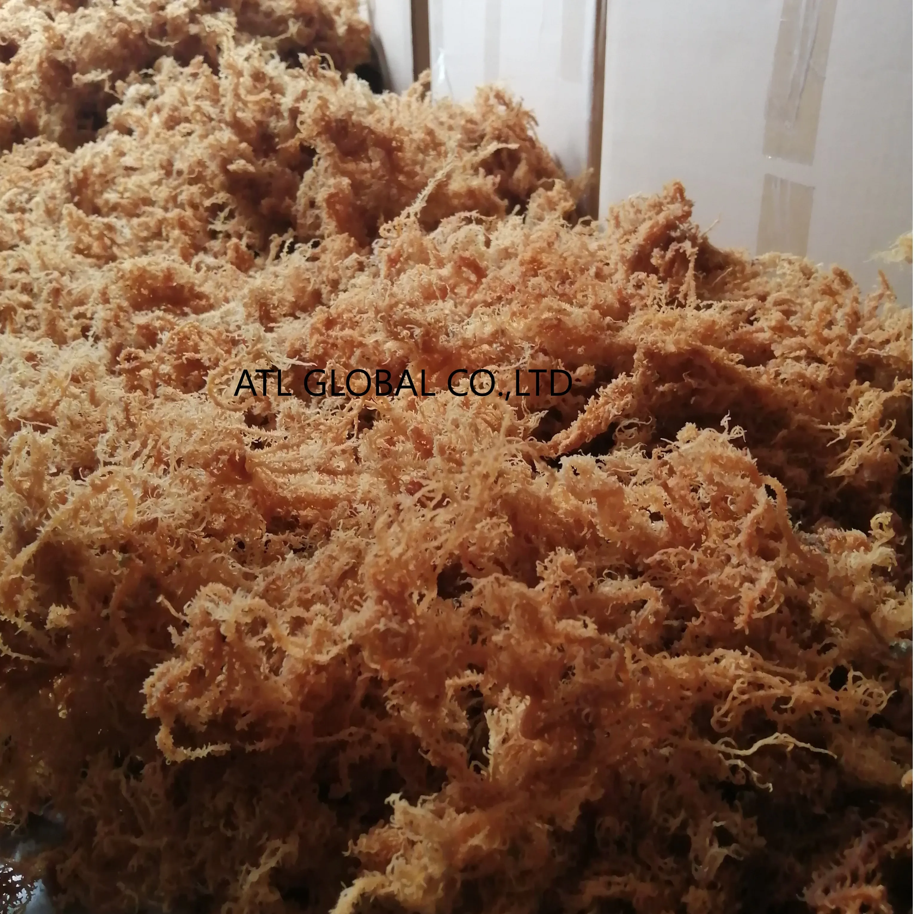 High quality dried seamoss bag packing ISO, HACCP certificate Vietnam