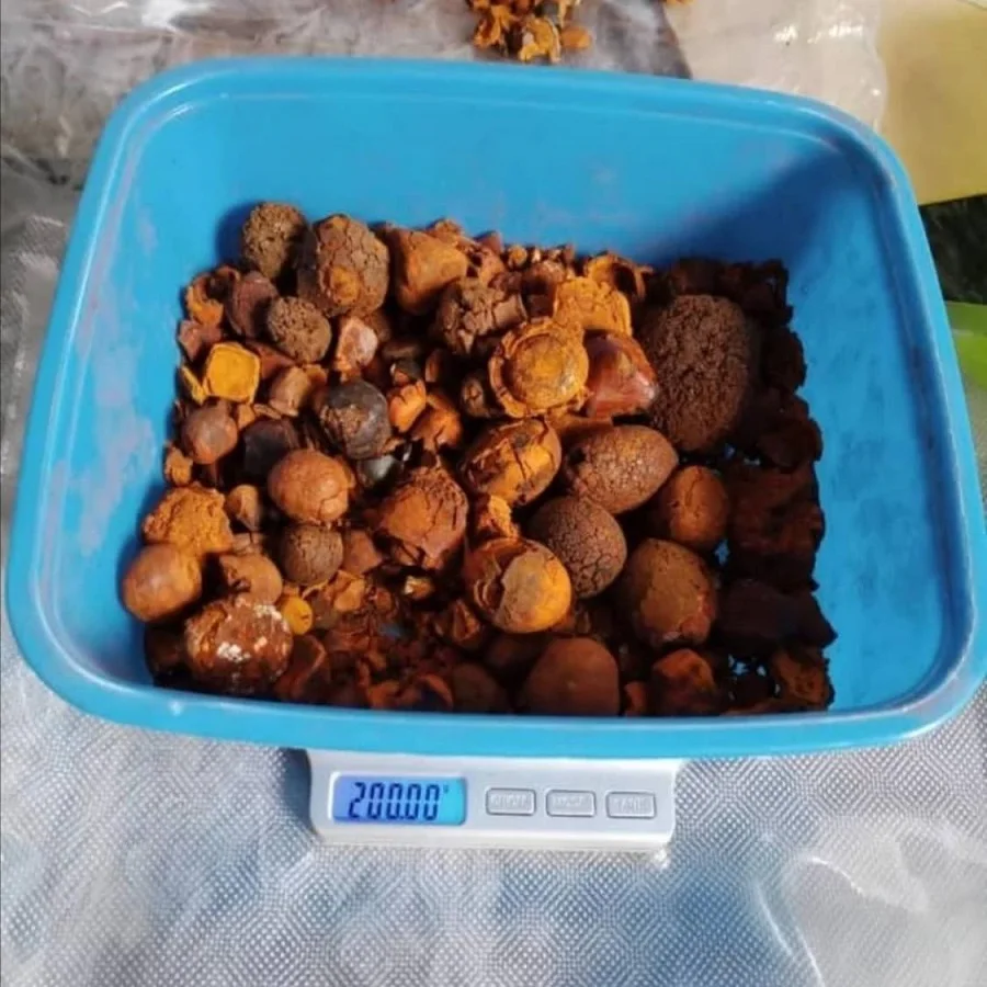 Wholesale Cheap Price Gallstones Cow Gallbladder Stones Available Buy Fast Delivery High Quality OX Gallstones Supply In Stock