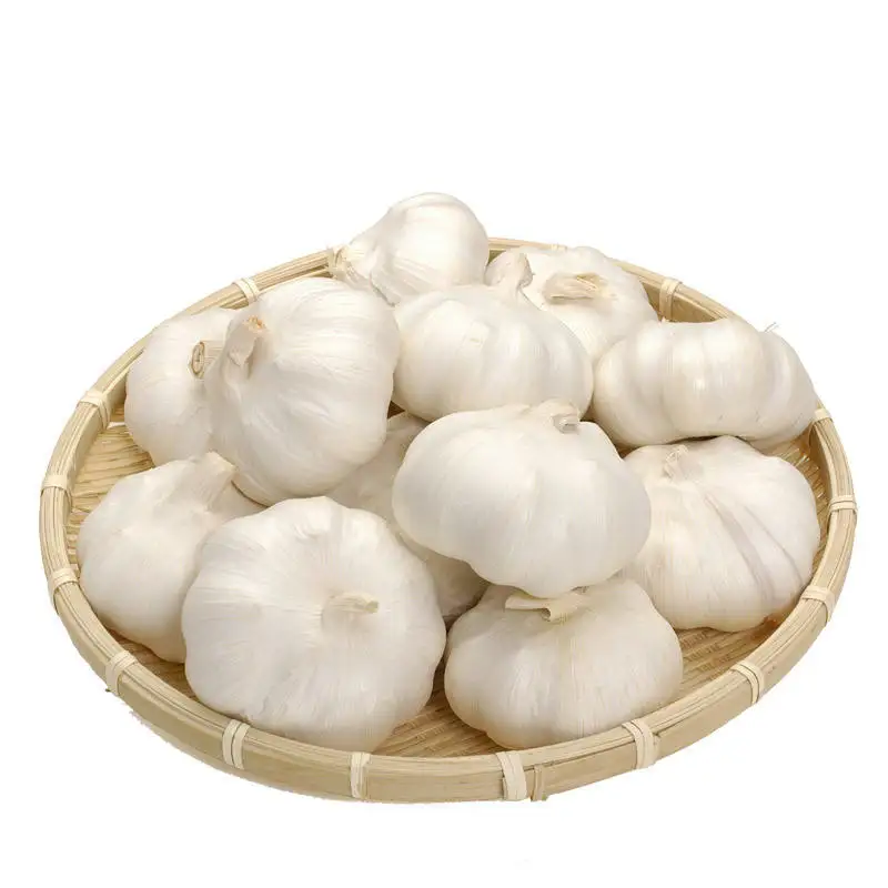 Fresh Garlic Fresh Export Packed In 10kgs In Carton Mesh Bag Pure White Fresh Garlic/ Fresh Harvest