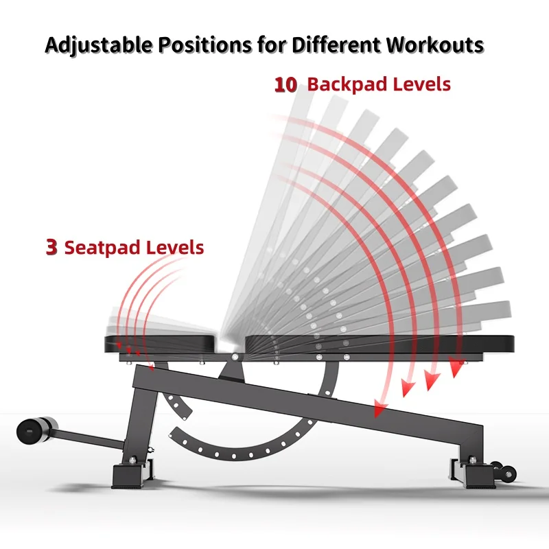 New design Body Building Home Gym Fitness Equipment Ab Workout Bench Adjustable For Weight Dumbells Training