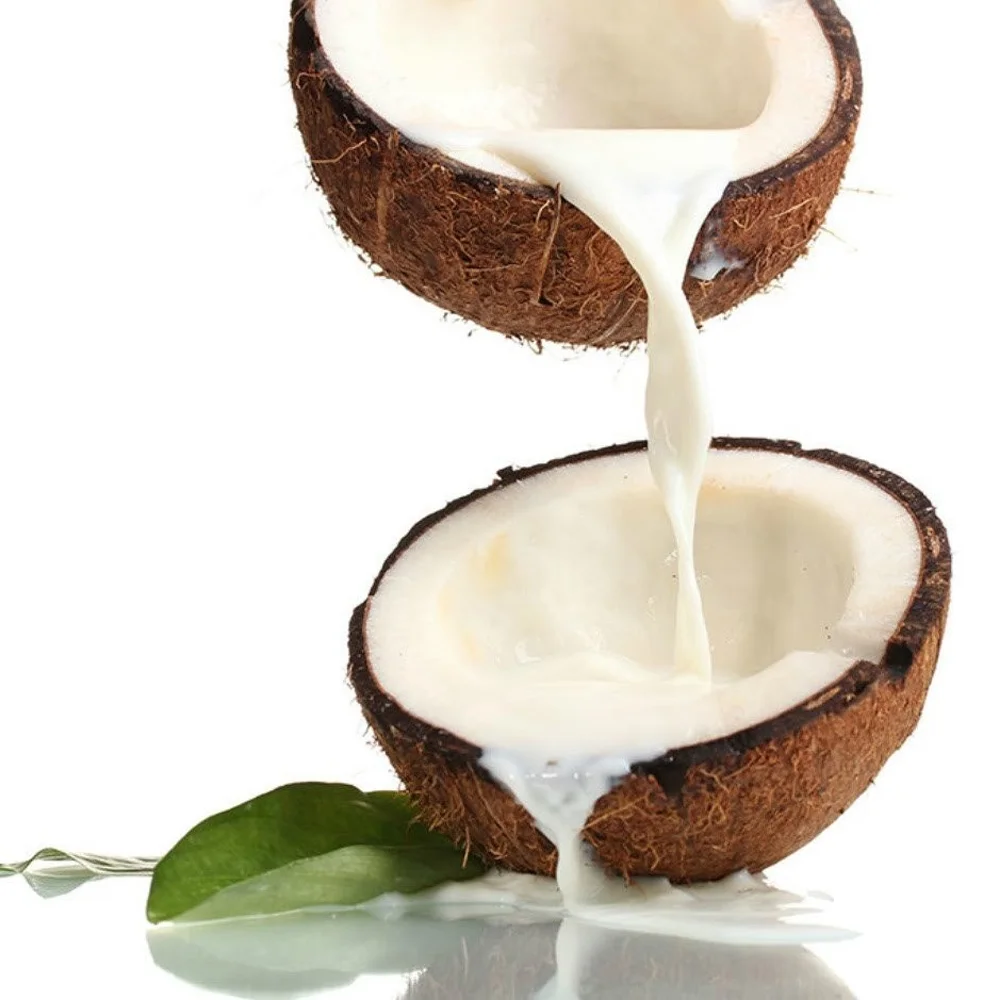 RICH & CREAMY CANNED COCONUT MILK / PERFECT FOR COOKING & HEALTHY LIFESTYLE / LOW WHOLESALE PRICES GUARANTEED / MADE IN VIETNAM