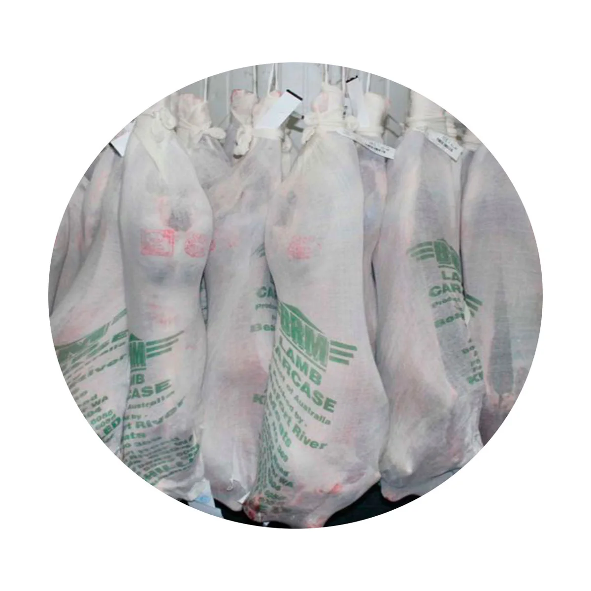 Lamb carcass fresh meat wholesale prices whole lamb carcasses for sale