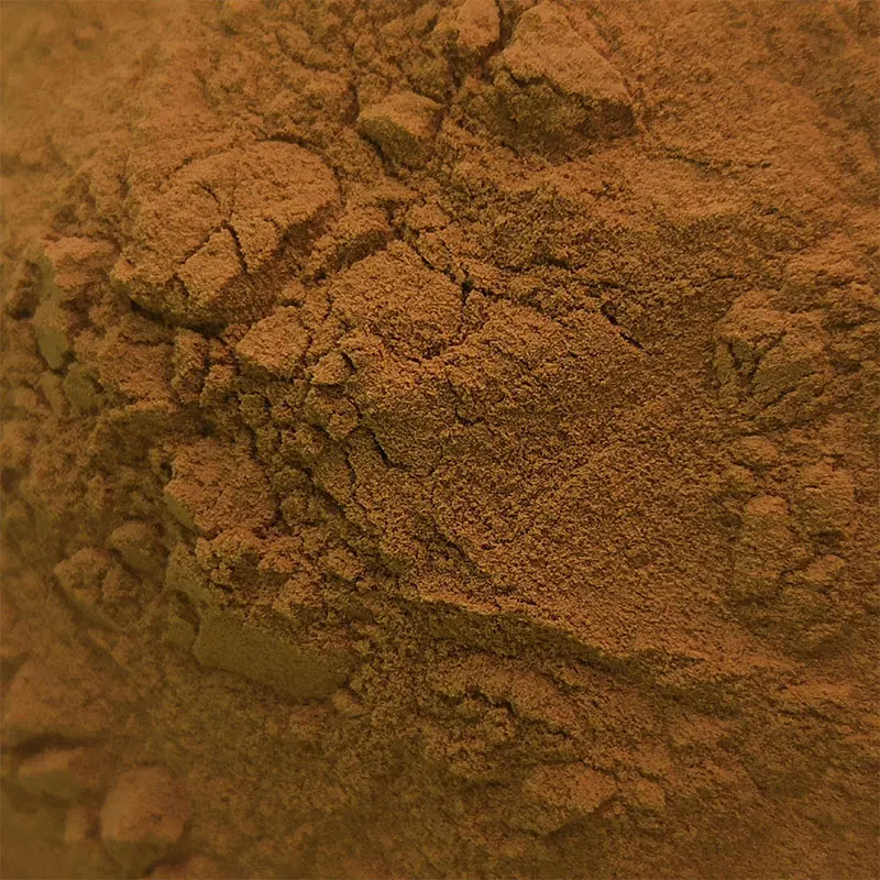 Cassia Tora Juemingzi Extract Cassia Seed P.E. Obtuseleaf Senna Seed CatsiatoraLinn