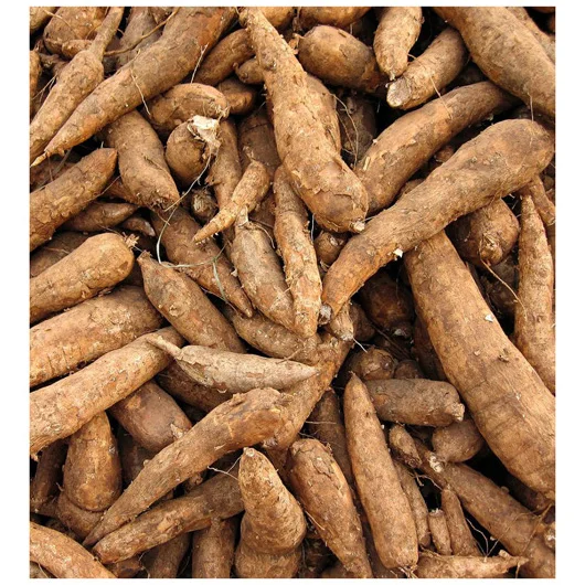 Dried Organic Tapioca Starch Flour Starch Health Benefits  Premium Quality Bulk Sale and Competitive