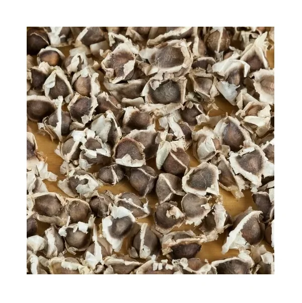 Семена Moringa oleifera/семена moringa лучшие цены на продажу