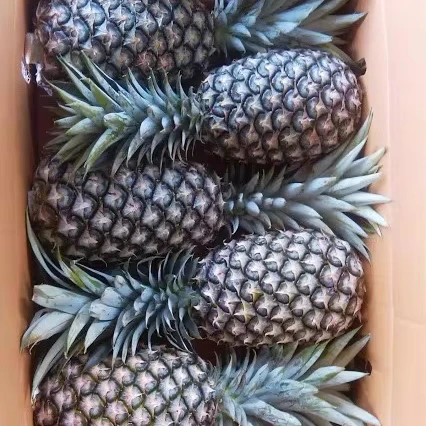 fresh pineapple , 100% natural from Vietnam