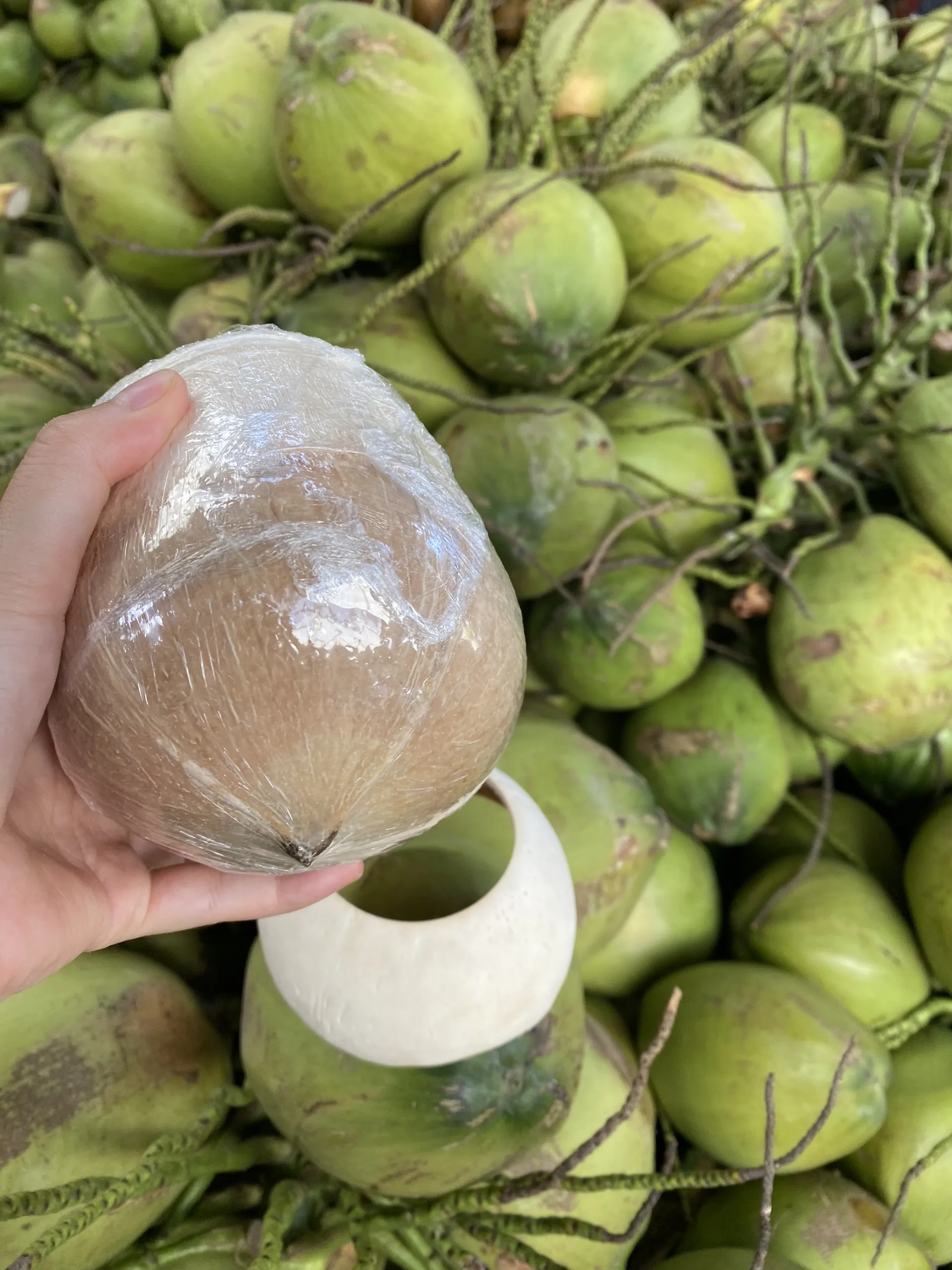 SEMI POLISHED COCONUT High Quality Sweet Flavor Natural Made In Vietnam Wholesale 2024 Natural Drinks  (tel 0084366808683)