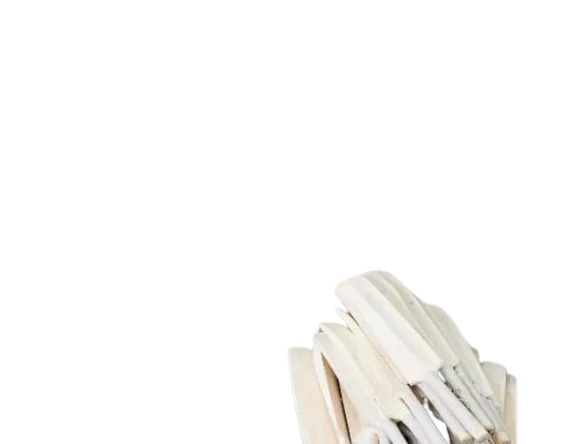 Comfortable Good Price Wooden Cricket Bat Players Edition Top Grade Quality Genuine English Willow Cricket Bat