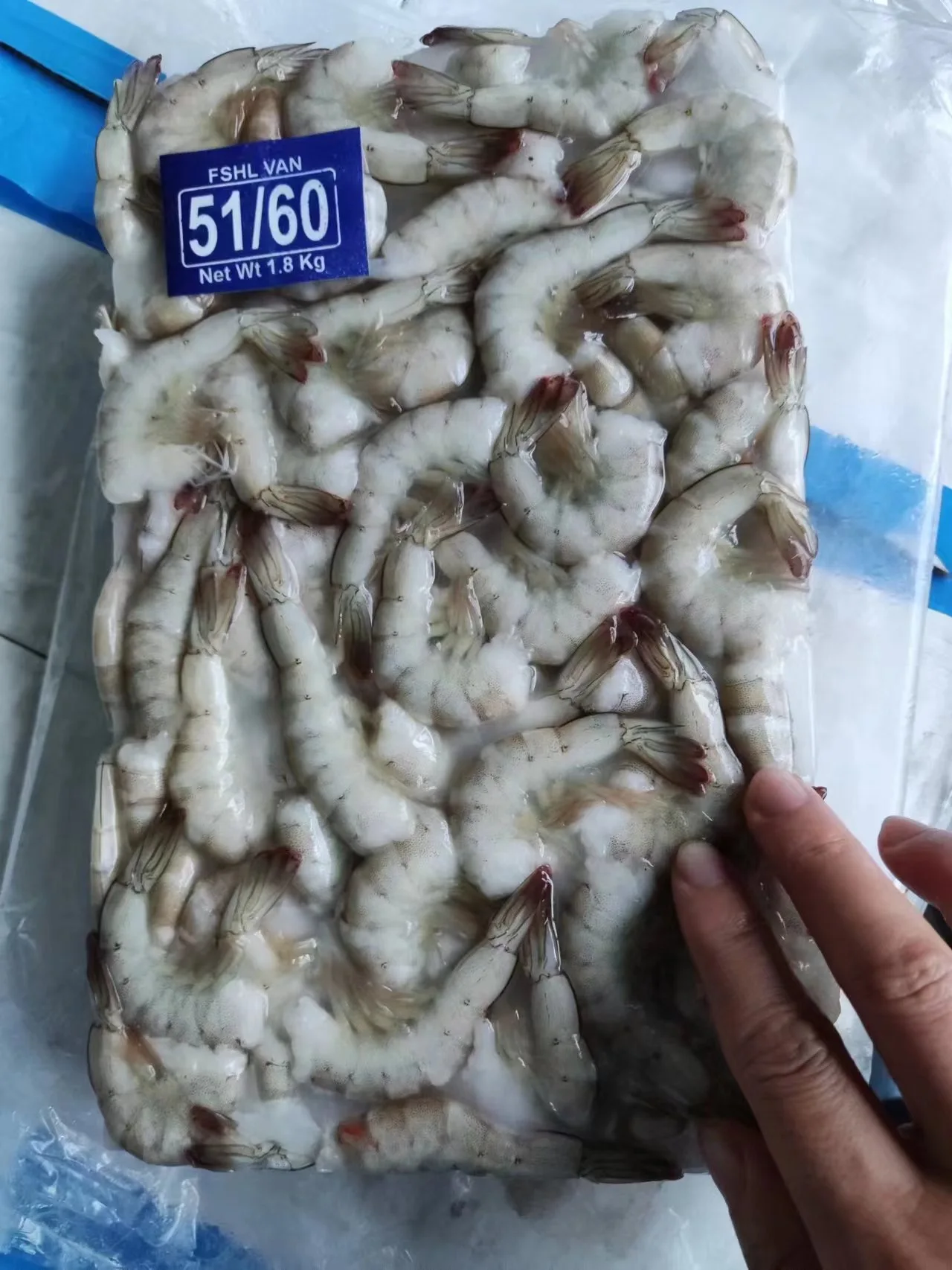 BULK FROZEN  HLSO 51/60 SIZE FROM INDIAN ORIGIN FISH SUPPLIERS FROZEN HOSO VANNAMEI SHRIMPS HEAD ON SHELL ON