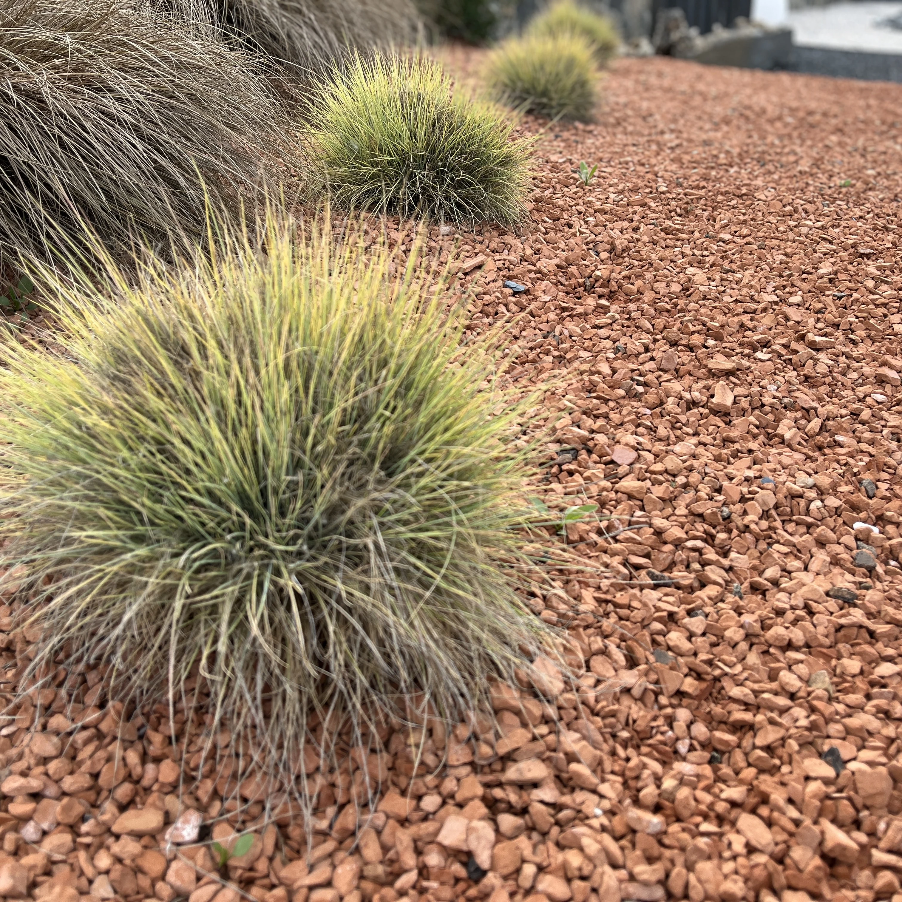 Orange ceramic pebbles Garden Decoration Landscaping Japanese Garden Absorbent aggregate expanded clay