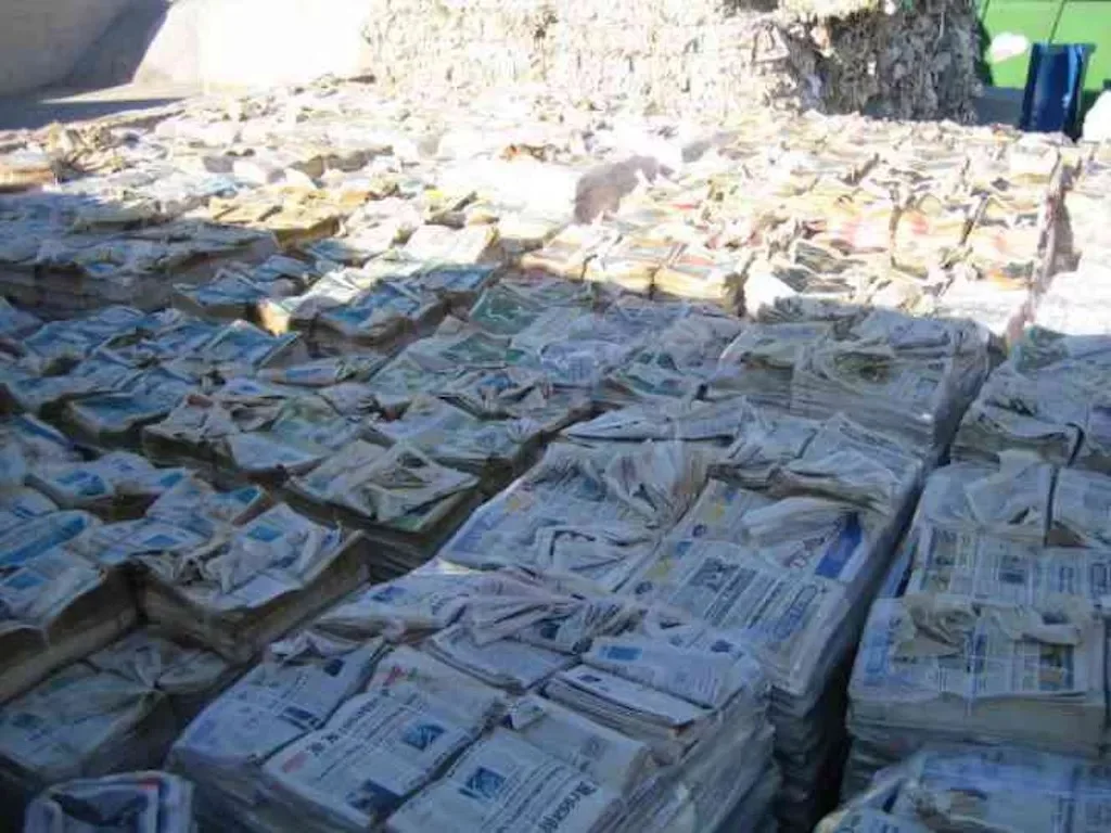 Clean  Newspaper Scraps/OINP occ /ONP/ News Paper waste  Scrap