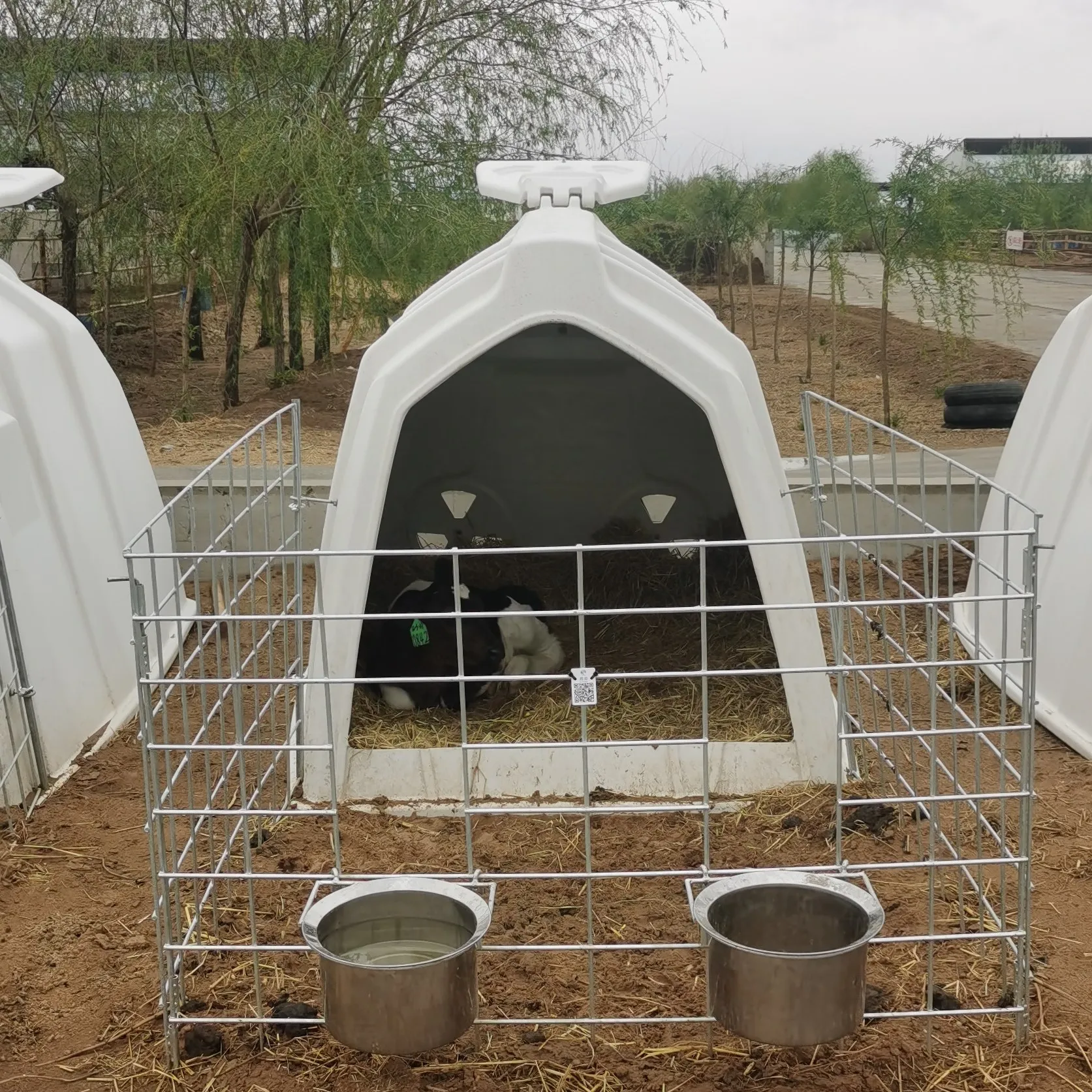 Молочная Ферма пастбище индивидуальный дом для голени ручка крупного рогатого скота корпус