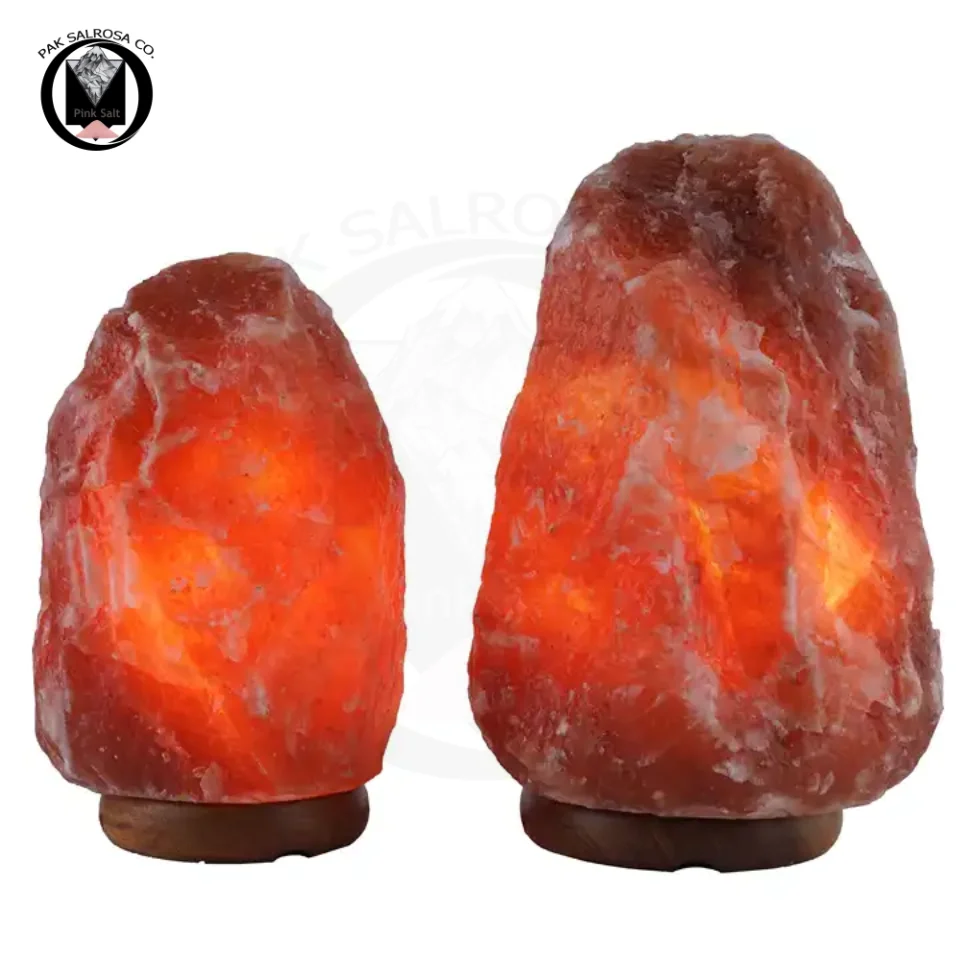 Natural Himalayan Salt Rock Lamp Hand Carved Customized Design USB Wholesale Himalayan Salt Lamps By PAK SALROSA & CO