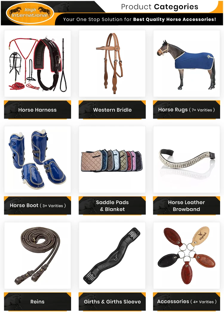 Product Categories.jpg