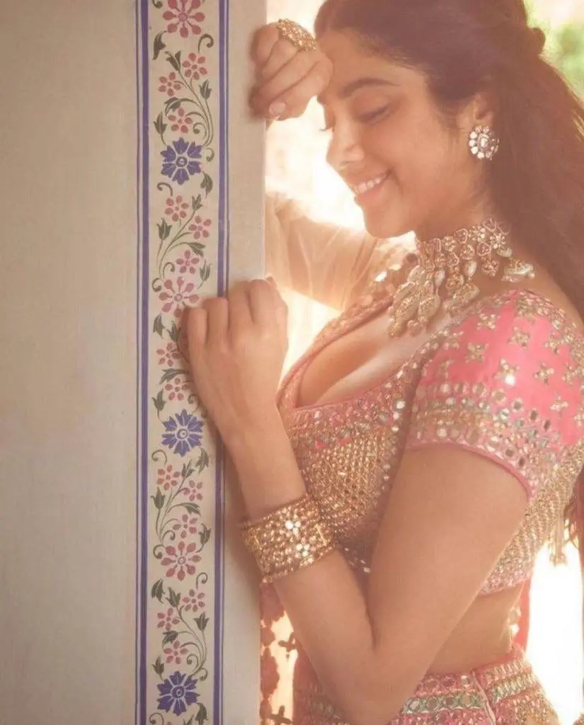 Fashionable Adults Soft Net Real Mirror Lehenga Cancan Canvas Patta Work Choli Indian & Pakistani Clothing Sequins Embroidery