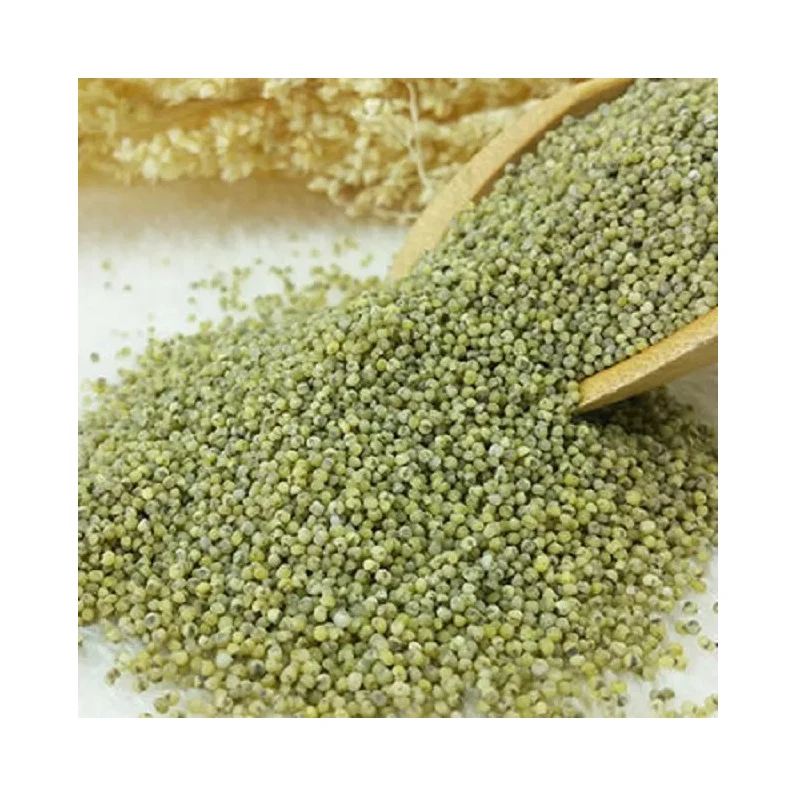 Best quality green millet animal feeds exporter from Egypt