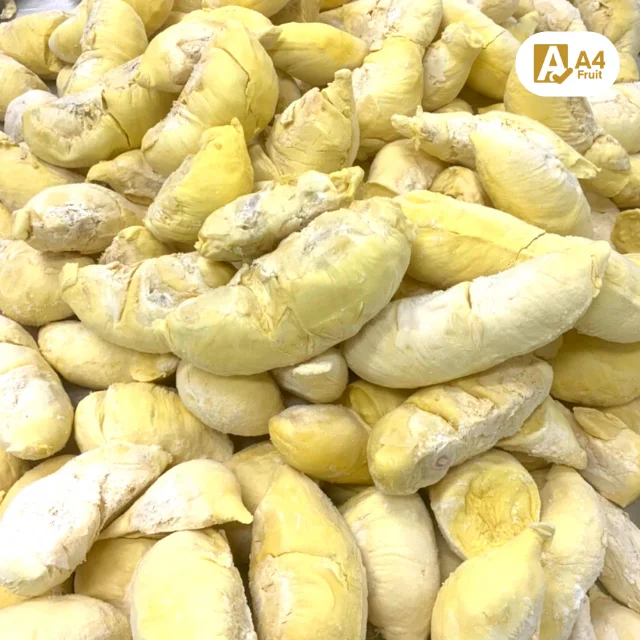 Frozen Durian Monthong (C Grade brix 15 %) from Thailand Sweet Style fresh and very delicious