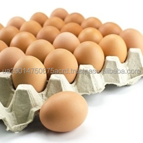 egg8.jpg