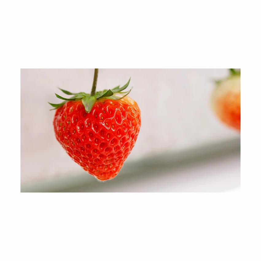 Whole Strawberry Fruits With Best Price