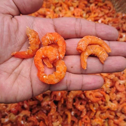 Wholesale Cheap High Quality Dry Seafood freshly With Vacuum Park From Vietnam