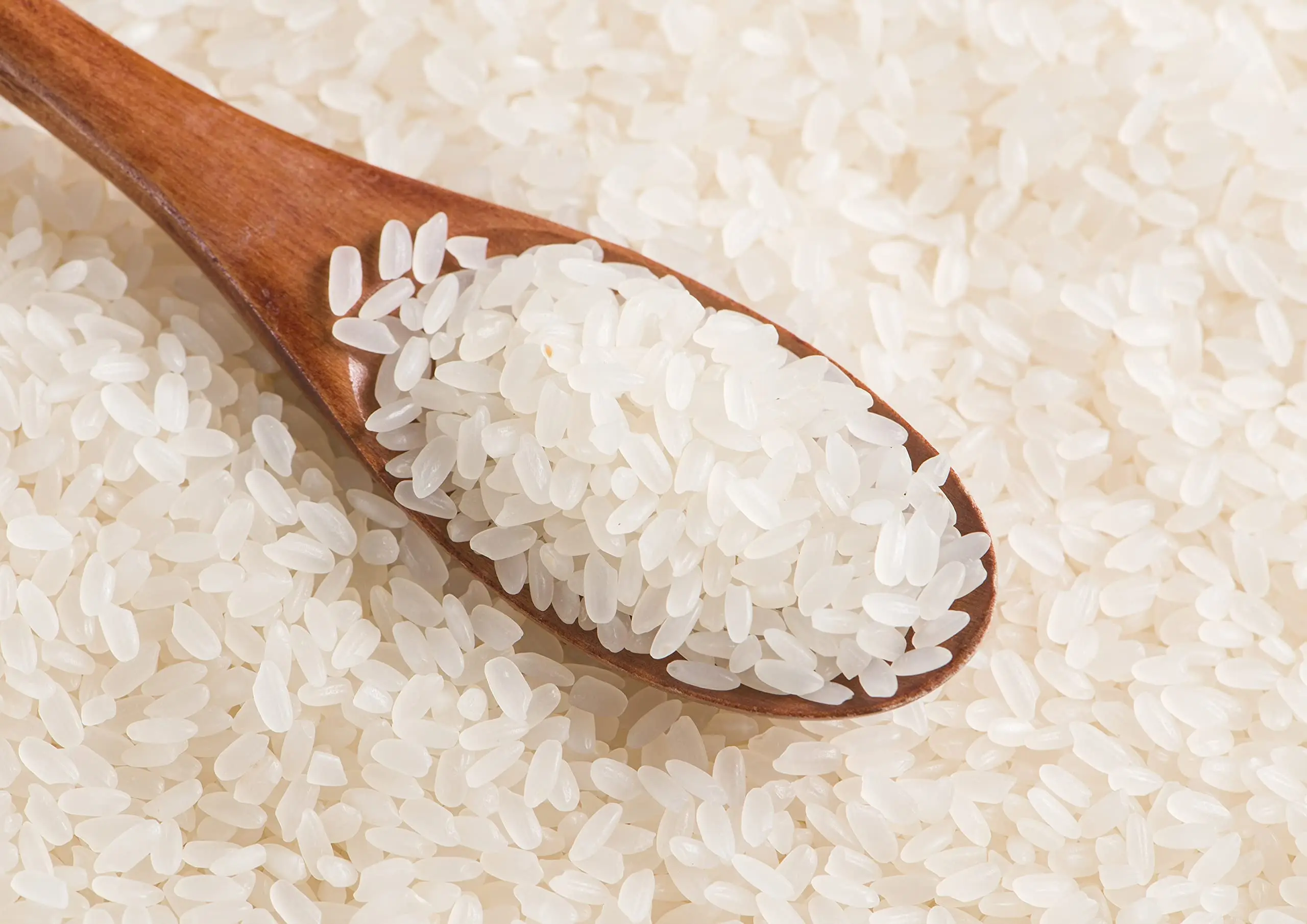 MEDIUM GRAIN / CALROSE / CAMOLINO RICE FOR BEST OFFER.