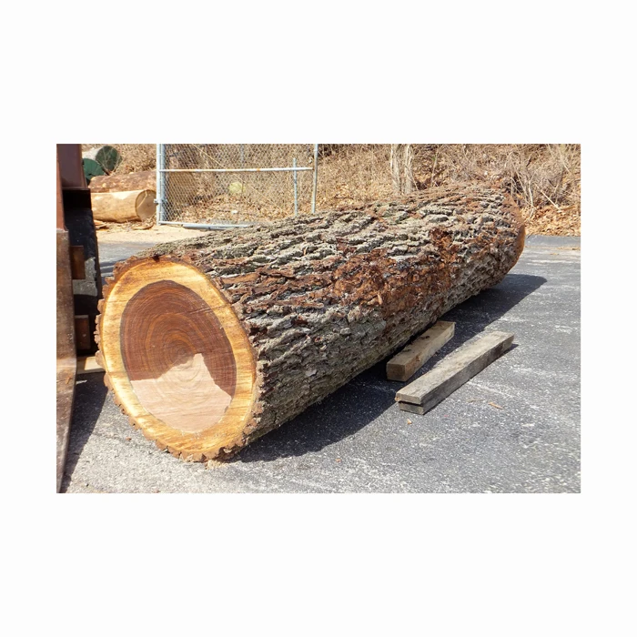 Top Grade Square Logs Black Walnut Maple Luan Ayous Wood Quality Sawn Plywood Excellent Timber Ash Type Competitive Prices