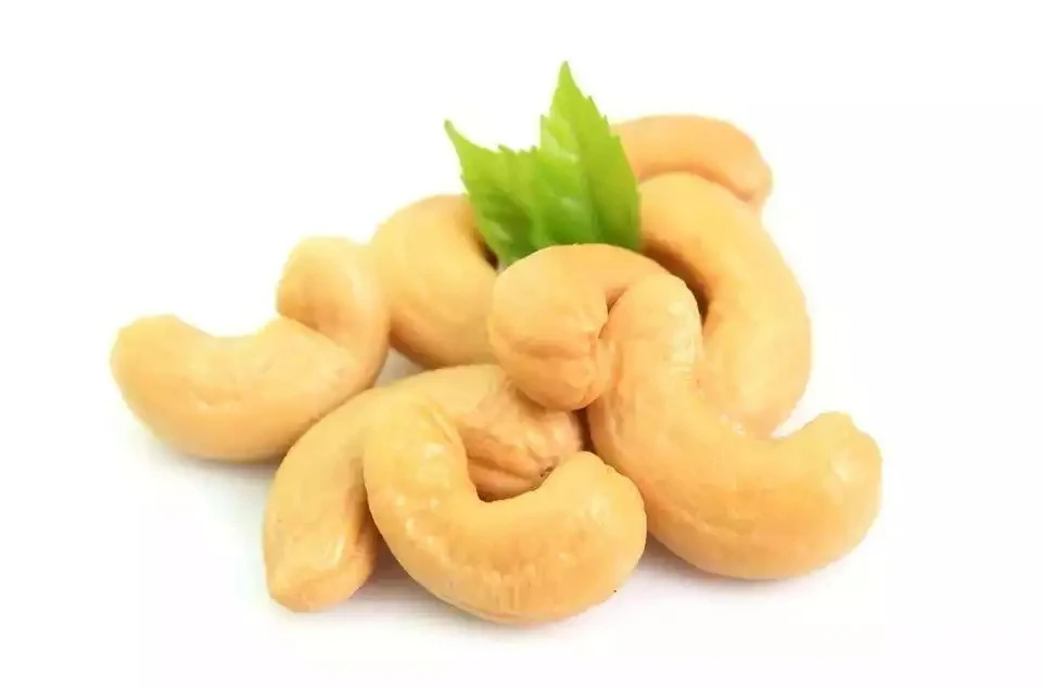Wholesale High Quality Cheap Price Benin Cashew Kernel Organic Raw Cashew Nuts For Good Health