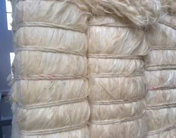 Оптовая продажа сизалевого волокна низкая цена высококачественное сизалевое волокно для продажи