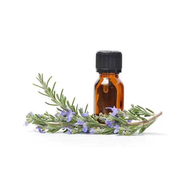 Manufacturer Supply 100% Pure N-a-t-u-r-a-l Organic Rosemary E-s-s-e-n-t-i-a-l Oil