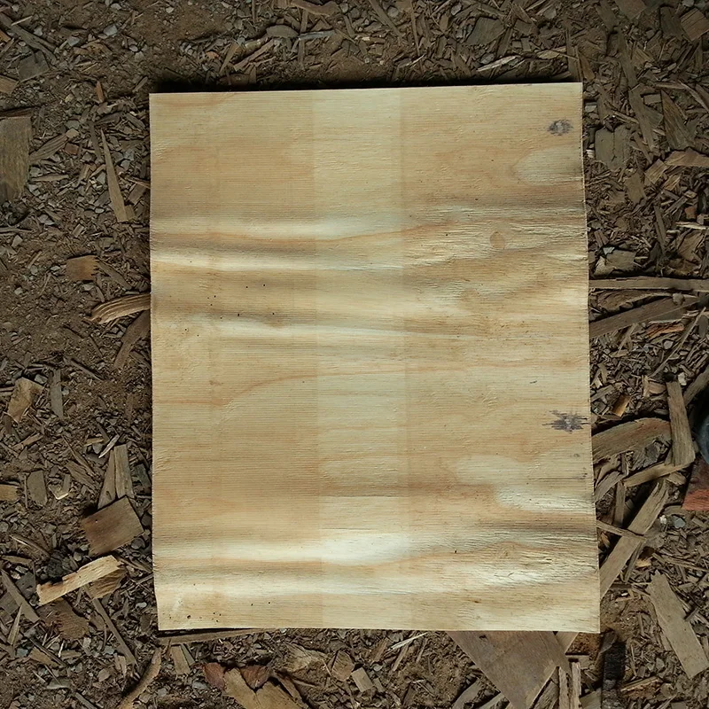 Cheap Price A Grade 100% core Rubber Wood Veneer Wood Face Rubber Veneers For Making Plywood Furniture From Vietnam