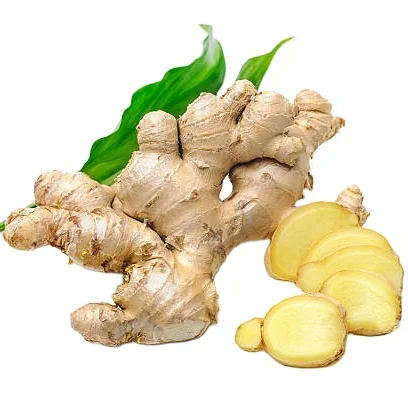 Premium Quality  GINGER wholesale customized Manufacturers from India to Worldwide vast at AFFORDABLE PRICE (11000004213201)