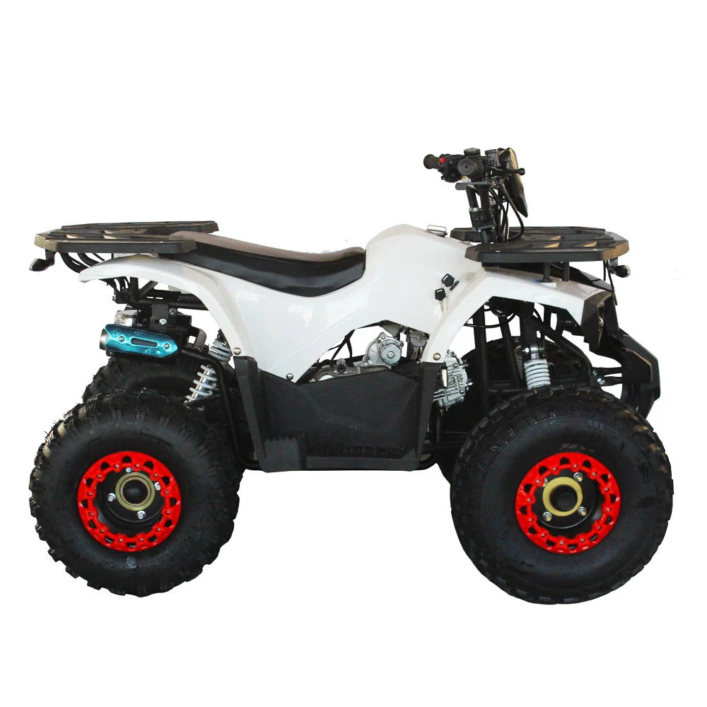 Popular ATV Quad 250cc Quad Bike best design diesel power engine with automatic brake transmission chain drive power engine