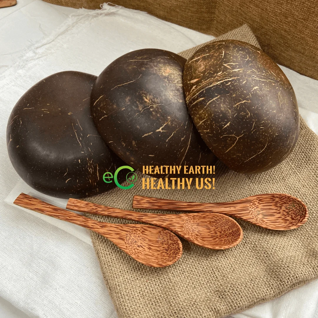 High Quality Natural Handmade 100% Lacquered Coconut Bowl/ Coconut Bowl Candle Made In Vietnam