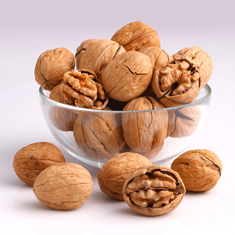 Highest Grade Organic Raw Walnuts with Shell Walnut Kernels Natural Healthy High Quality Dried Bulk Supply
