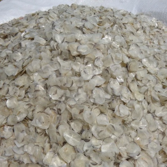 Dried Tilapia Scale / Agriculture Waste / Fish Scale