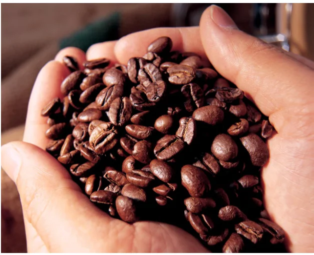 BEST PRICE Premium QUALITY Coffee Bean MEDIUM ROASTED 100% Robusta S18 Made In Viet Nam