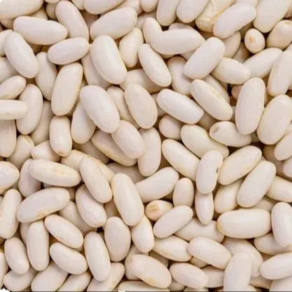 Wholesale Natural Organic Dried White Kidney bean 2023 crop from Vietnam for canned foods  Ready To Export