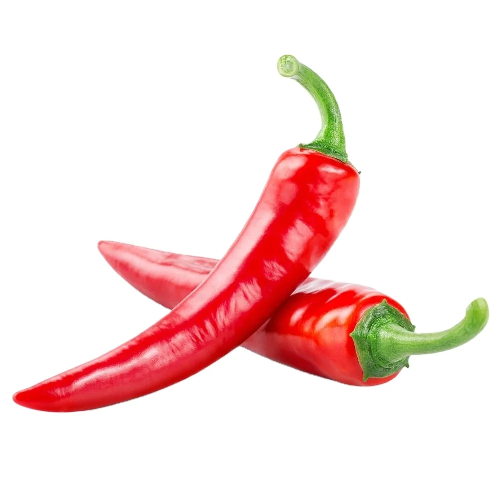 Fresh Red Chilli High Quality green chilli Supplier fresh red chilli pepper From Vietnam