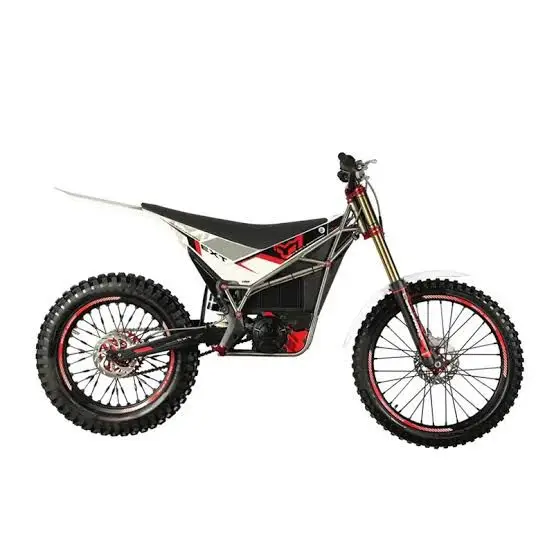 2025 Arctic leopard EXT 600 Max Power 100km/h Range 120km Electric Bicycle motorcycle