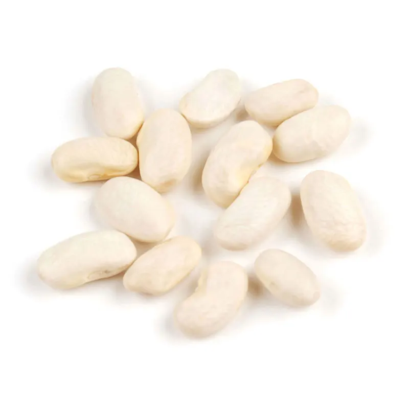 White Pea Beans White Kidney Beans Wholesale Navy for Canned Long Shape Dry Beans New Harvest Crop