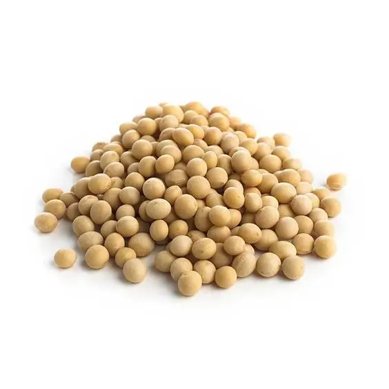 Brazilian Soybean powder milk 18% Protein Instant Unsweetened