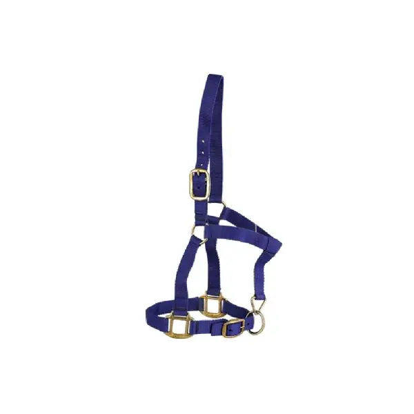 High Quality Nylon Halter Braided Horse Lead Rope Leather End Fastening Lead Rope For Sale